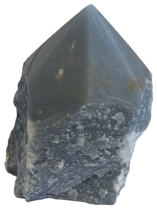Natural rough angelite freeform with polished point 2 sians emporium Natural rough angelite freeform crystal with unpolished sides and a smooth polished blue point standing on a white background